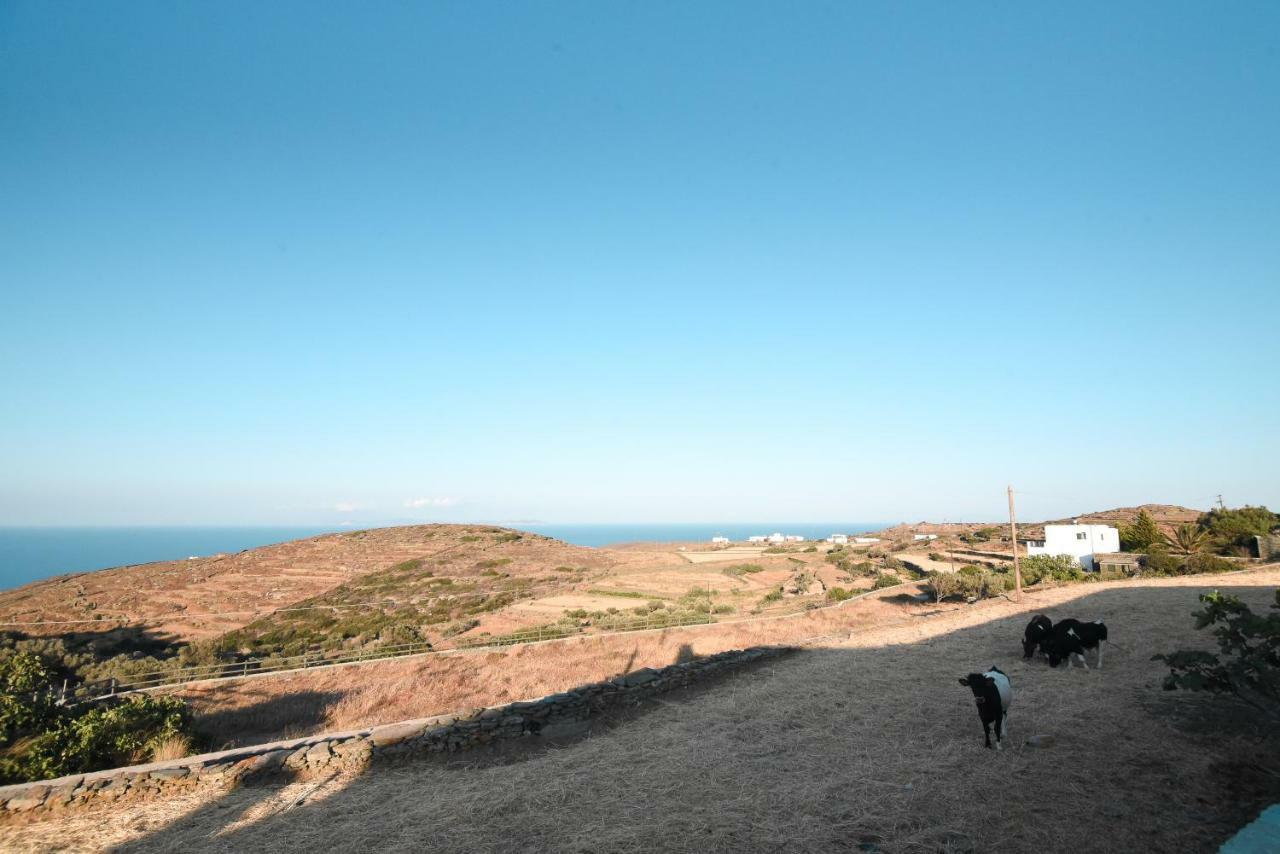 Grey House Villa Exámbela Dış mekan fotoğraf
